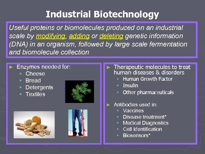 Industrial Biotechnology Useful proteins or biomolecules produced on an industrial scale by modifying, adding