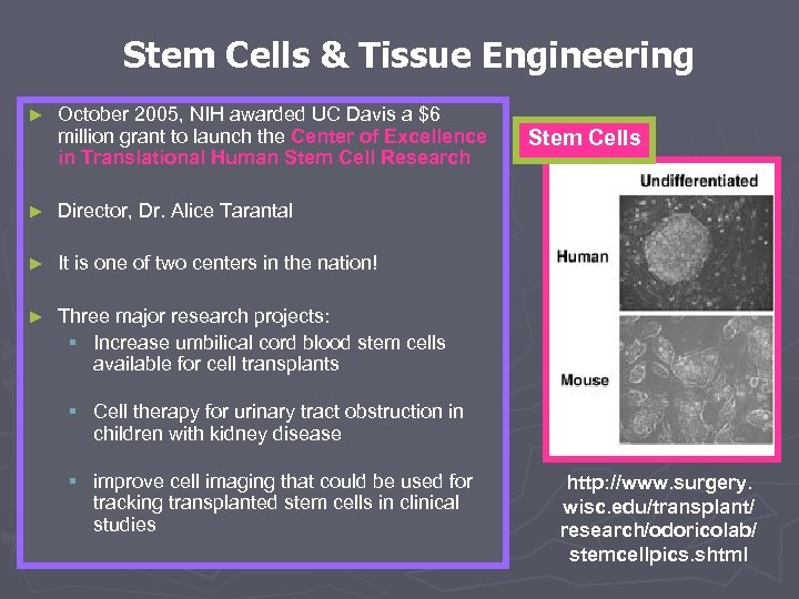 Stem Cells & Tissue Engineering ► October 2005, NIH awarded UC Davis a $6