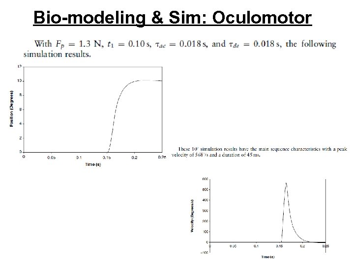 Bio-modeling & Sim: Oculomotor 45 