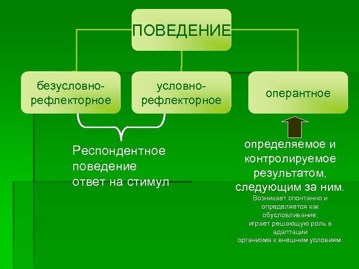 Форма поведения ответ