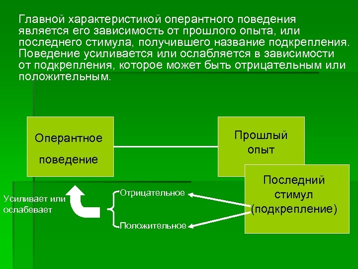 Главной характеристикой оперантного поведения является его зависимость от прошлого опыта, или последнего стимула, получившего