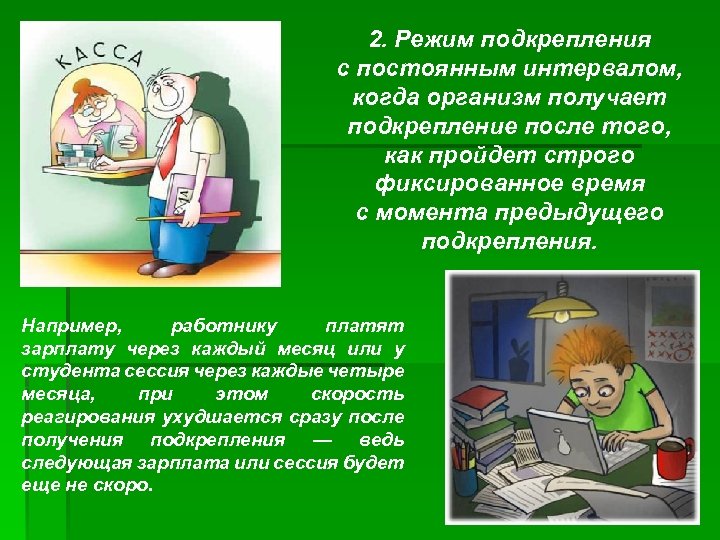 2. Режим подкрепления с постоянным интервалом, когда организм получает подкрепление после того, как пройдет