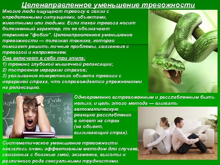 Целенаправленное уменьшение тревожности Многие люди ощущают тревогу в связи с определенными ситуациями, объектами, животными