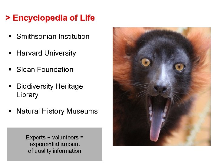 > Encyclopedia of Life § Smithsonian Institution § Harvard University § Sloan Foundation §