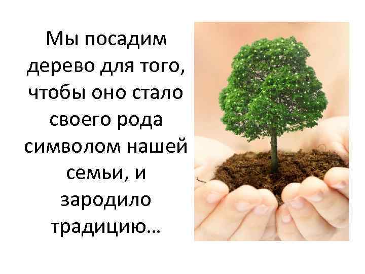 Мы посадим дерево для того, чтобы оно стало своего рода символом нашей семьи, и