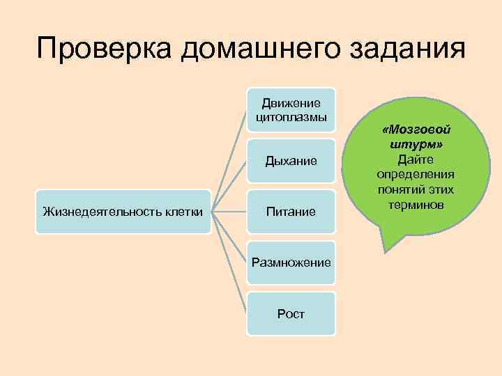 Схемы жизнедеятельности растений биология 6 класс