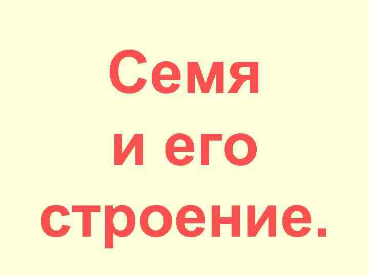 Семя и его строение. 