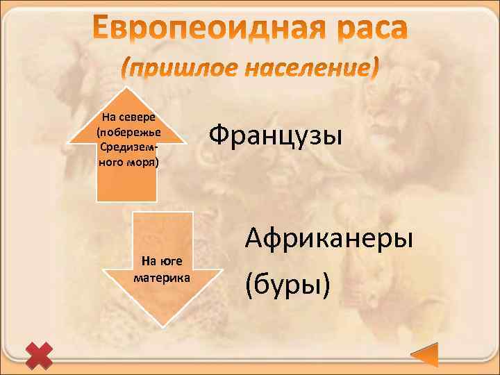 На севере (побережье Средиземного моря) На юге материка Французы Африканеры (буры) 