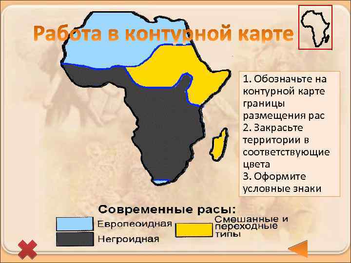 1. Обозначьте на контурной карте границы размещения рас 2. Закрасьте территории в соответствующие цвета