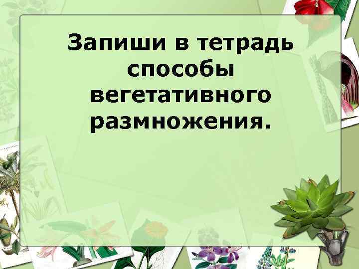 Запиши в тетрадь способы вегетативного размножения. 