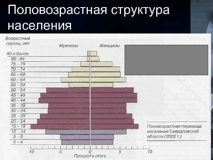 Половозрастные пирамиды презентация