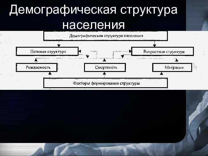 Демографическая структура населения 