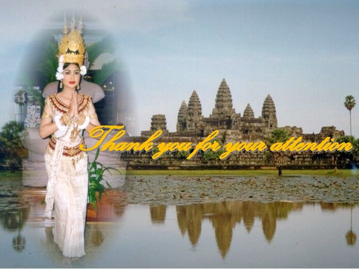 Thank you for your attention 