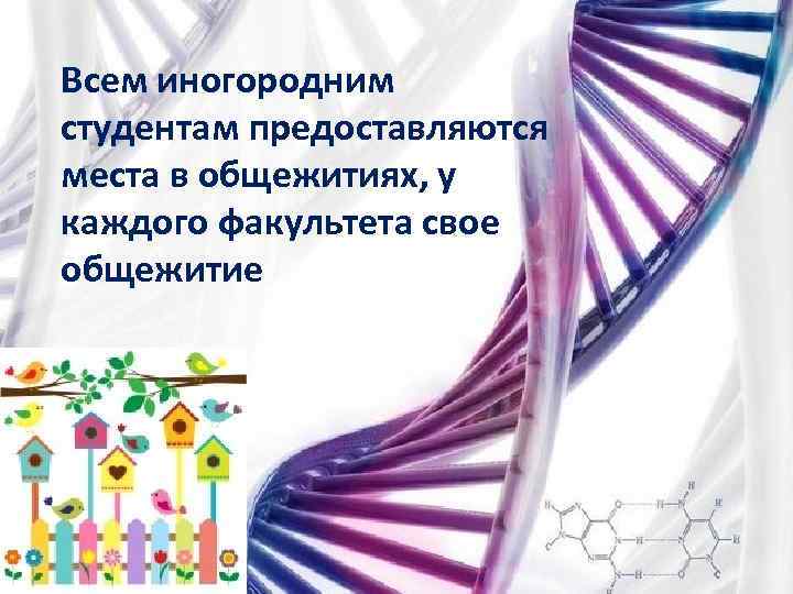 Всем иногородним студентам предоставляются места в общежитиях, у каждого факультета свое общежитие 