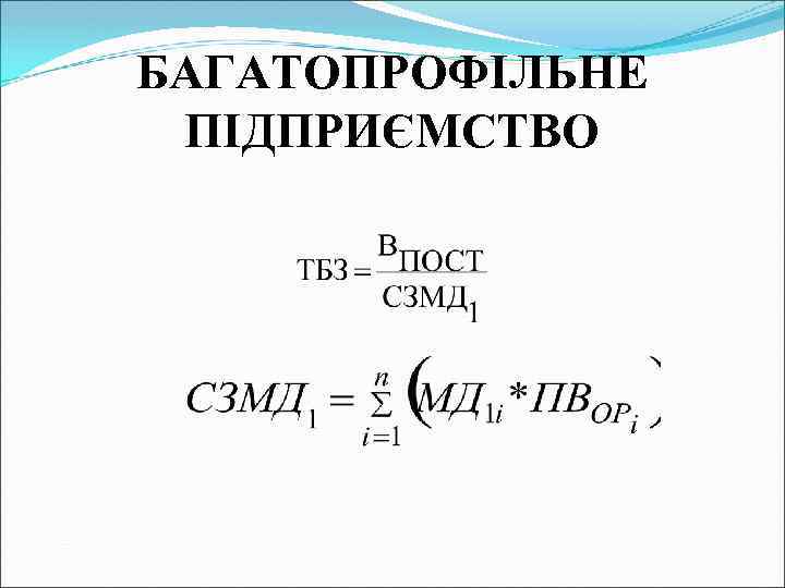 БАГАТОПРОФІЛЬНЕ ПІДПРИЄМСТВО 