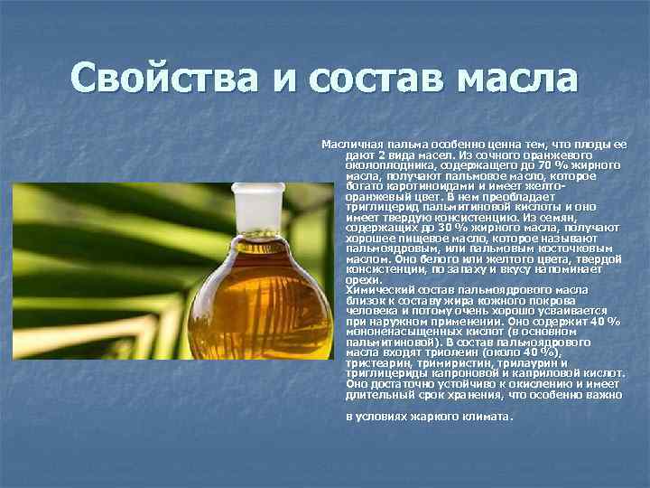 Свойства и состав масла Масличная пальма особенно ценна тем, что плоды ее дают 2