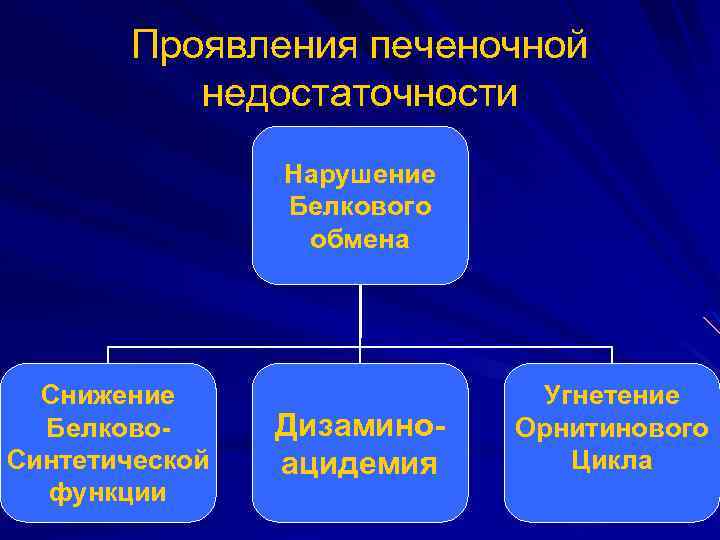 Проявления печеночной недостаточности Нарушение Белкового обмена Снижение Белково. Синтетической функции Дизаминоацидемия Угнетение Орнитинового Цикла