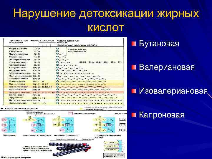 Нарушение детоксикации жирных кислот Бутановая Валериановая Изовалериановая Капроновая 