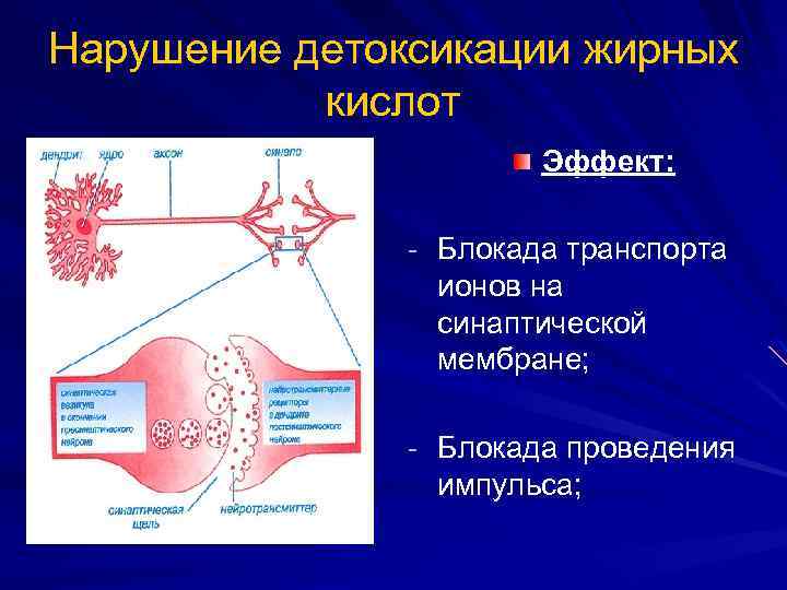 Нарушение детоксикации жирных кислот Эффект: - Блокада транспорта ионов на синаптической мембране; - Блокада