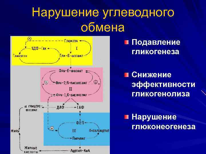 Нарушения углеводов. Нарушение углеводного обмена. Нарушения углеводного обмена схема. Нарушение глюконеогенеза. Патологии глюконеогенеза.