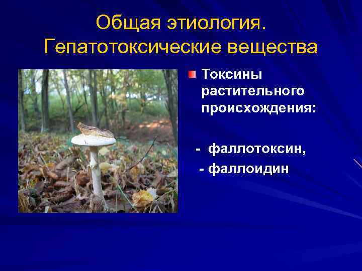 Токсины животного происхождения. Токсины растительного происхождения. Гепатотоксические вещества. Фаллотоксин.