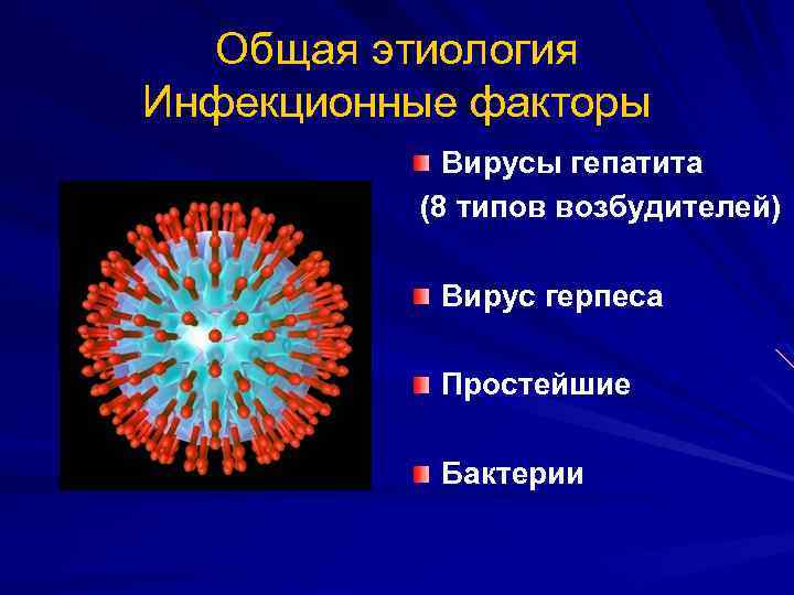 Общая этиология Инфекционные факторы Вирусы гепатита (8 типов возбудителей) Вирус герпеса Простейшие Бактерии 