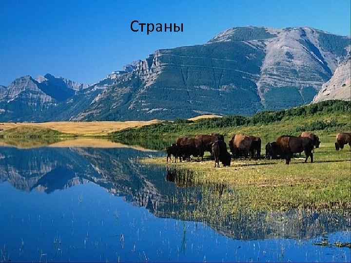 Страны 