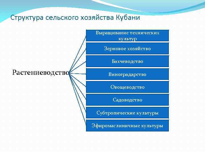 Состав растениеводства. Структура растениеводства. Структура сельского хозяйства схема. Иерархия в сельском хозяйстве.