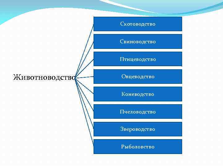 Скотоводство Свиноводство Птицеводство Животноводство Овцеводство Коневодство Пчеловодство Звероводство Рыболовство 