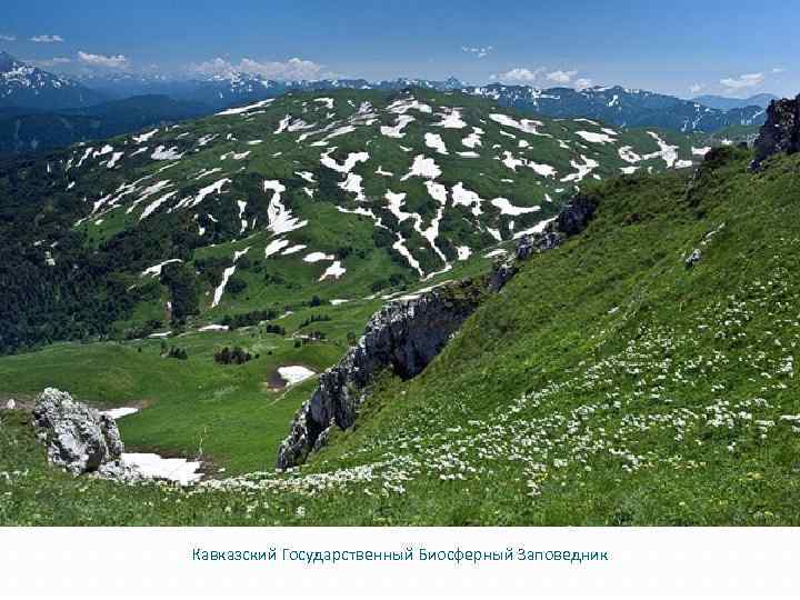 Кавказский Государственный Биосферный Заповедник 
