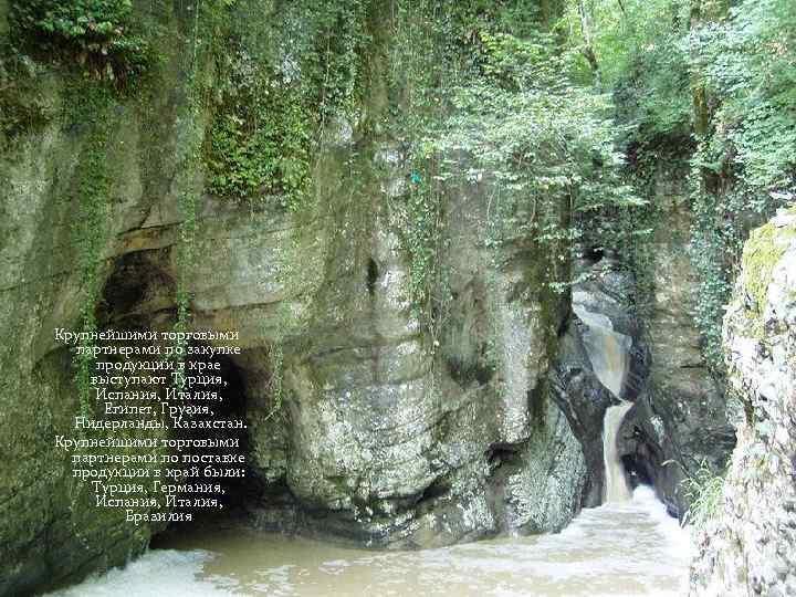  Крупнейшими торговыми партнерами по закупке продукции в крае выступают Турция, Испания, Италия, Египет,