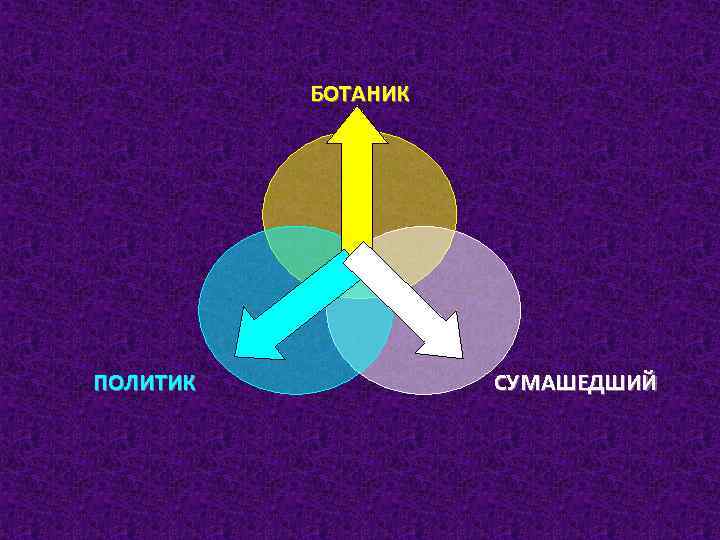 БОТАНИК ПОЛИТИК СУМАШЕДШИЙ 