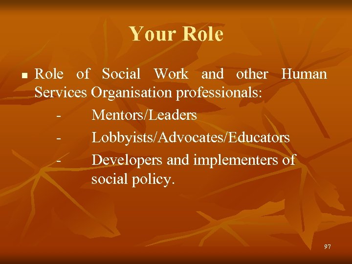 Your Role n Role of Social Work and other Human Services Organisation professionals: Mentors/Leaders