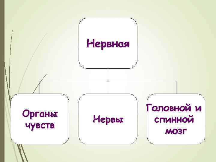 Науки изучающие организм человека