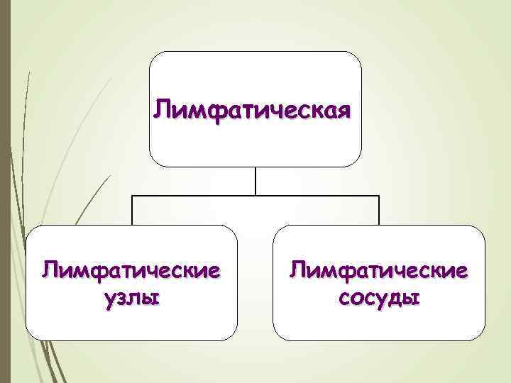 Наука изучающая работу органов человека