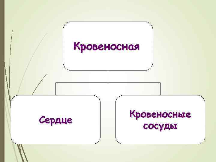 Наука изучающая работу органов человека