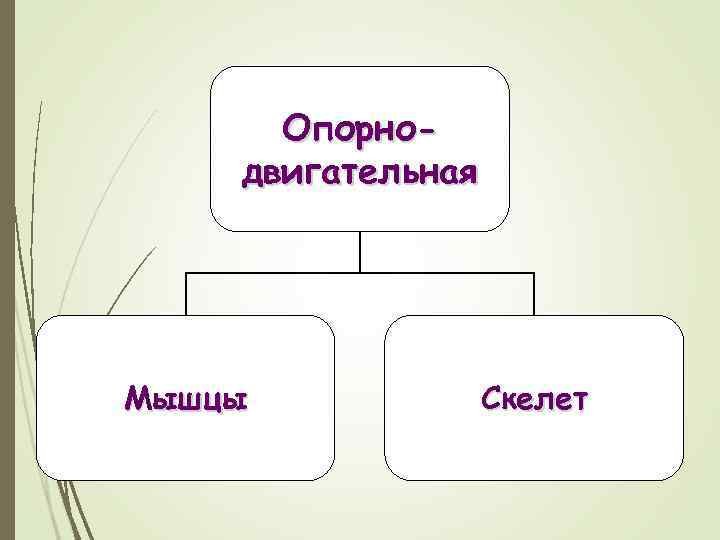 Наука изучающая цвета. Наука изучающая строение тела человека.