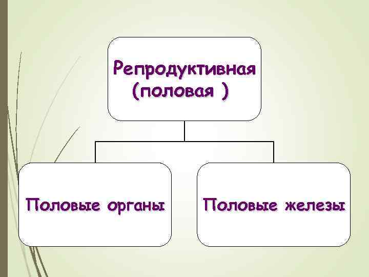 Наука изучающая органы человека. Репродуктивные науки.