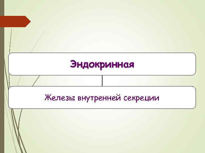 Наука изучающая работу органов человека