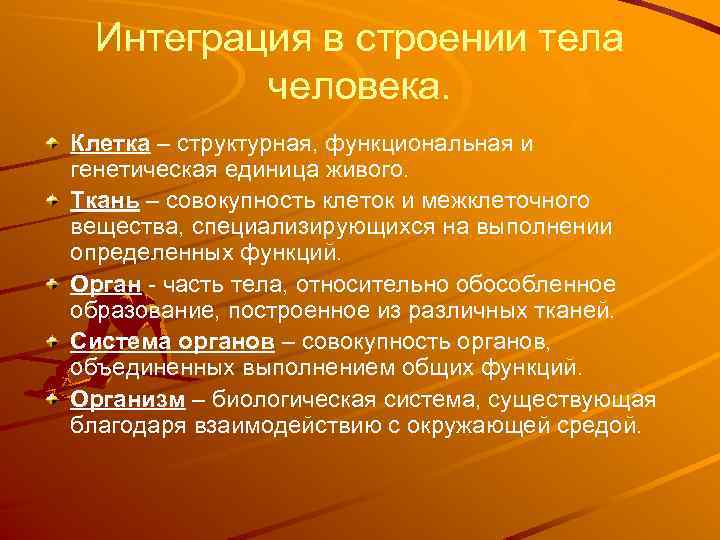 Интеграция в строении тела человека. Клетка – структурная, функциональная и генетическая единица живого. Ткань
