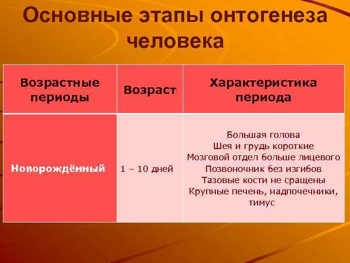 Основные этапы онтогенеза человека Возрастные периоды Новорождённый Возраст Характеристика периода Большая голова Шея и