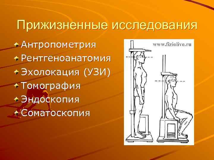 Прижизненные исследования Антропометрия Рентгеноанатомия Эхолокация (УЗИ) Томография Эндоскопия Соматоскопия 