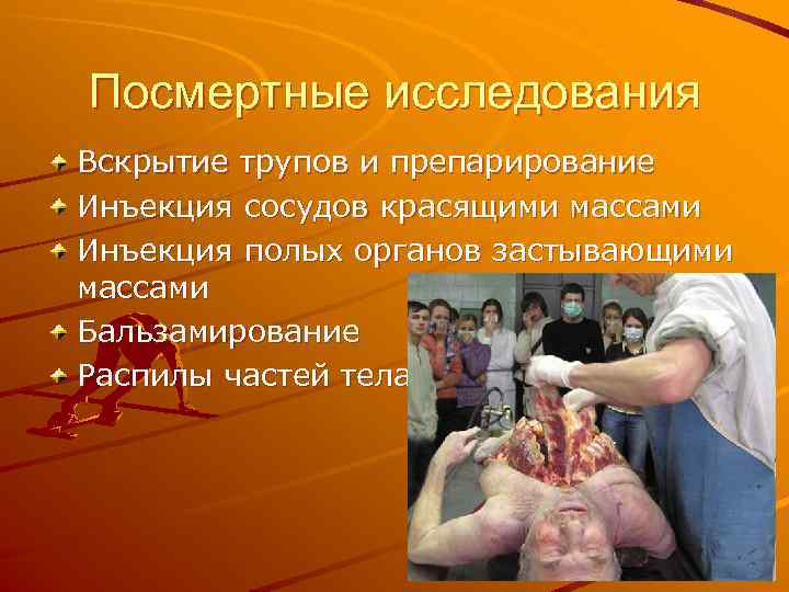 Посмертные исследования Вскрытие трупов и препарирование Инъекция сосудов красящими массами Инъекция полых органов застывающими