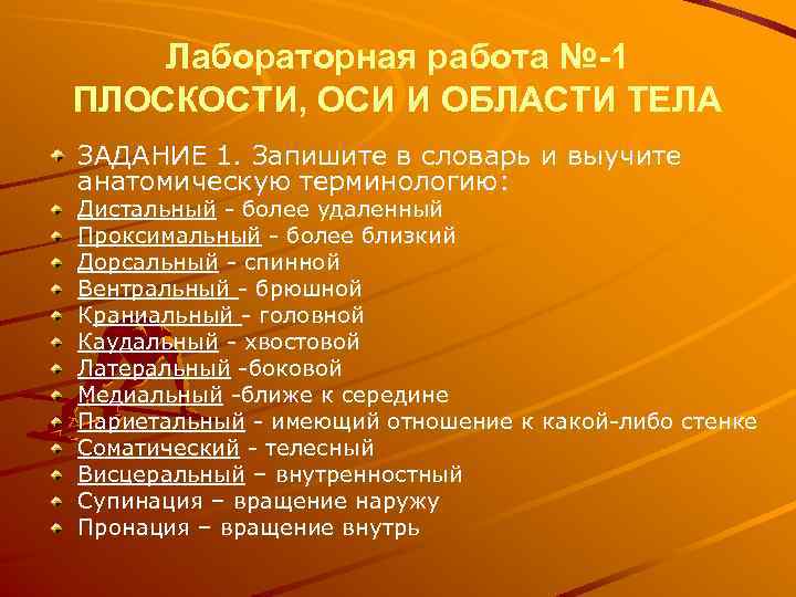 Лабораторная работа №-1 ПЛОСКОСТИ, ОСИ И ОБЛАСТИ ТЕЛА ЗАДАНИЕ 1. Запишите в словарь и