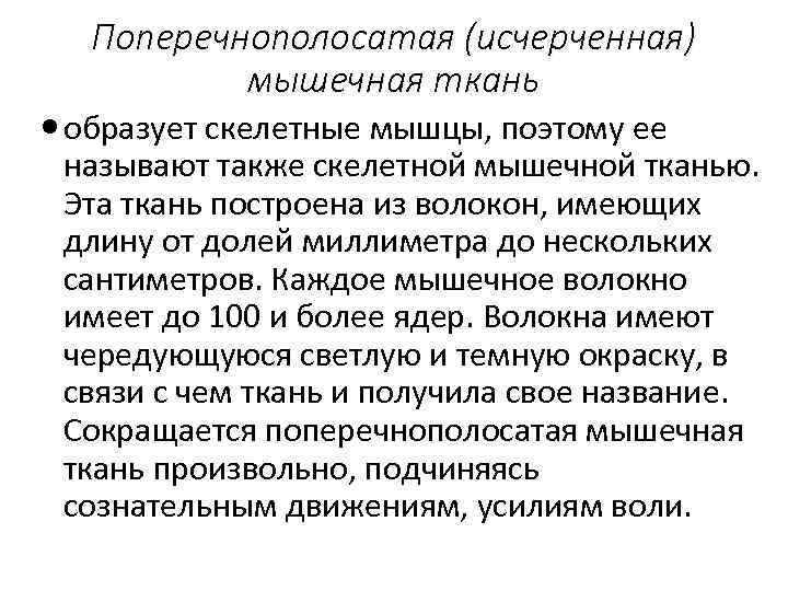 Поперечнополосатая (исчерченная) мышечная ткань образует скелетные мышцы, поэтому ее называют также скелетной мышечной тканью.