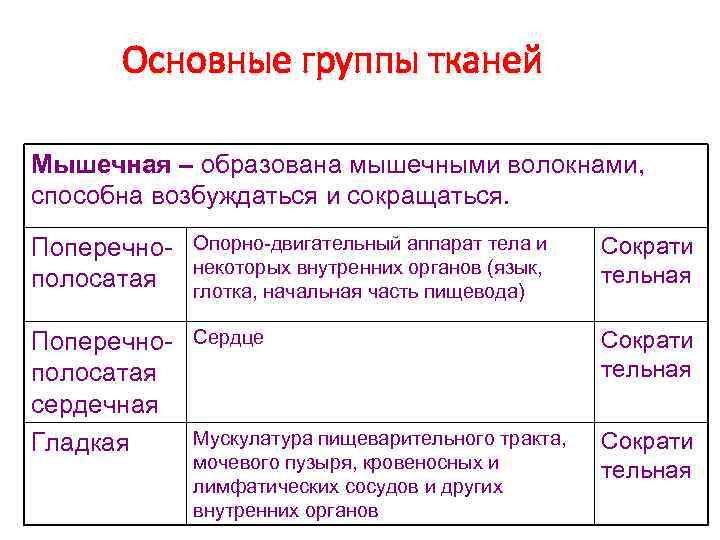 Основные группы тканей Мышечная – образована мышечными волокнами, способна возбуждаться и сокращаться. Поперечнополосатая Опорно-двигательный