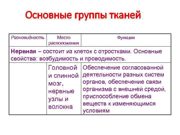 Разновидность программы в машинных кодах какой файл