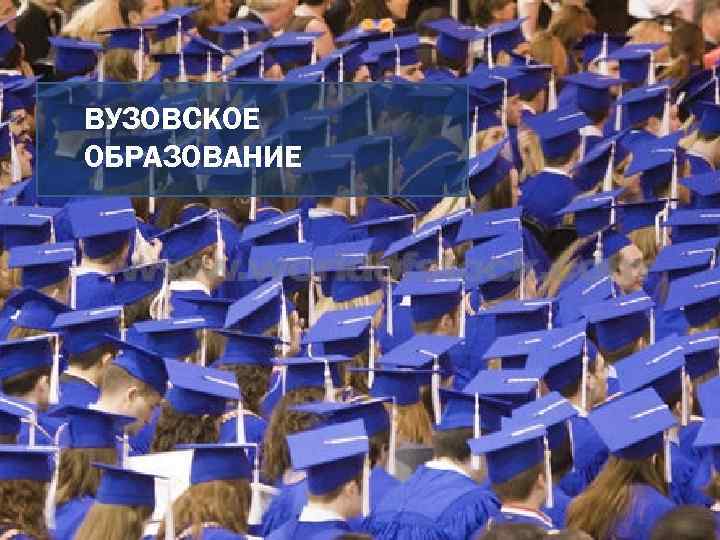 ВУЗОВСКОЕ ОБРАЗОВАНИЕ 