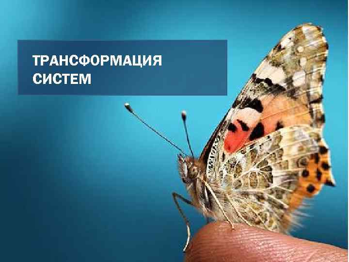 ТРАНСФОРМАЦИЯ СИСТЕМ 