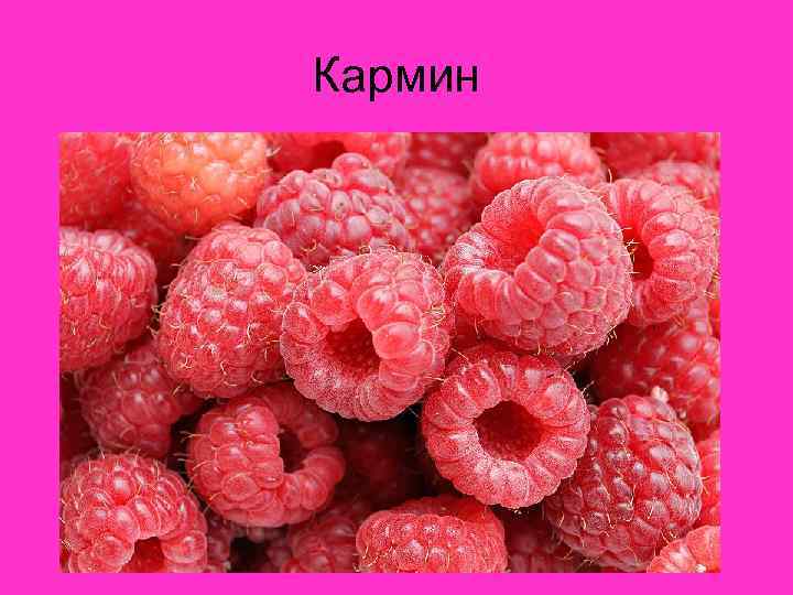 Кармин 